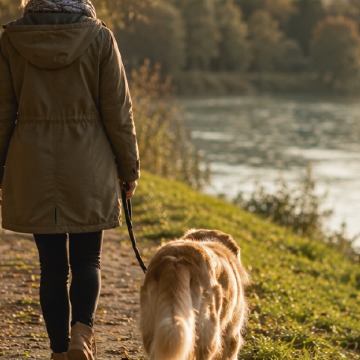 Spaziergang direkt an der Donau